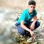 عکس کاربر - amirmahdi