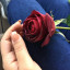 عکس کاربر - 𝒁𝒂𝒉𝒓𝒂:)