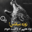 عکس کاربر - adidas