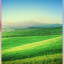عکس کاربر - آرش