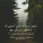 عکس کاربر - Amir soltan