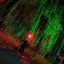 عکس کاربر - FATEME