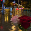 عکس کاربر - دینا