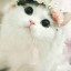 عکس کاربر - 😺Hosna😺