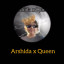 عکس کاربر - Arshida x Queen