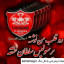 عکس کاربر - مجیدمسجدی