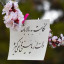عکس کاربر - F. Javan