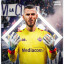 عکس کاربر - David degea