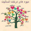 عکس کاربر - 09185245231