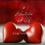 عکس کاربر - Hasan