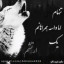 عکس کاربر - یگانه مبشری