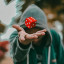 عکس کاربر - Arsam