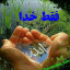 عکس کاربر - ali
