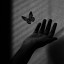 عکس کاربر - Sevda M