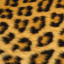 عکس کاربر - ho_ka13