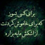 عکس کاربر - ابوالفضل افسا 