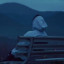 عکس کاربر - حسام