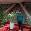 عکس کاربر - سعید