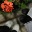 عکس کاربر - ناظمی 