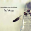 عکس کاربر - Abbas Mirza
