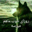 عکس کاربر - صالح