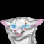 عکس کاربر - ☄️LeraLegendWarriorCats🐈