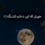 عکس کاربر - دلسا