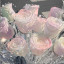 عکس کاربر - 𝐌𝐞𝐥𝐨𝐝𝐲♡