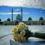 عکس کاربر - فاطمه
