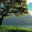 عکس کاربر - Masoud Ebrahimi