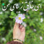 عکس کاربر - پسرک بلوچ