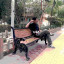 عکس کاربر - Amir