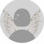 عکس کاربر - TINA_KOREA