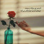 عکس کاربر - 𝒮𝒶𝒹𝒶𝒻