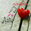 عکس کاربر - حیدر حلفی 
