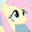 عکس کاربر - 🦋fluttershy🐇