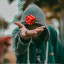 عکس کاربر - mمهدیm