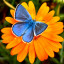 عکس کاربر - ♔EBFOX♔