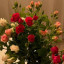 عکس کاربر - بلوچ