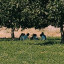 عکس کاربر - مهدی