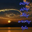 عکس کاربر - داریوش کاردانی