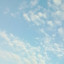 عکس کاربر - tanaz