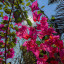 عکس کاربر - Mohammadabadi