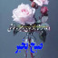 عکس کاربر - علی محرابی