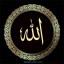 عکس کاربر - zainab hosseini