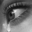 عکس کاربر - مقدس وحدتی 