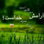 عکس کاربر - Reza Khosravi