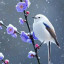 عکس کاربر - گلی