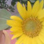 عکس کاربر - ریحانه