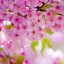 عکس کاربر - فاطمه